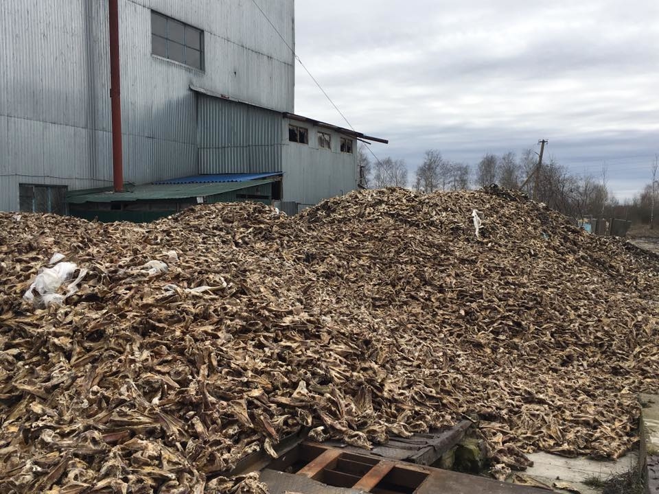 Ковельский ветсанзавод