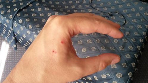 Сергей Запорожский, facebook dqxikeidqxiqxxant