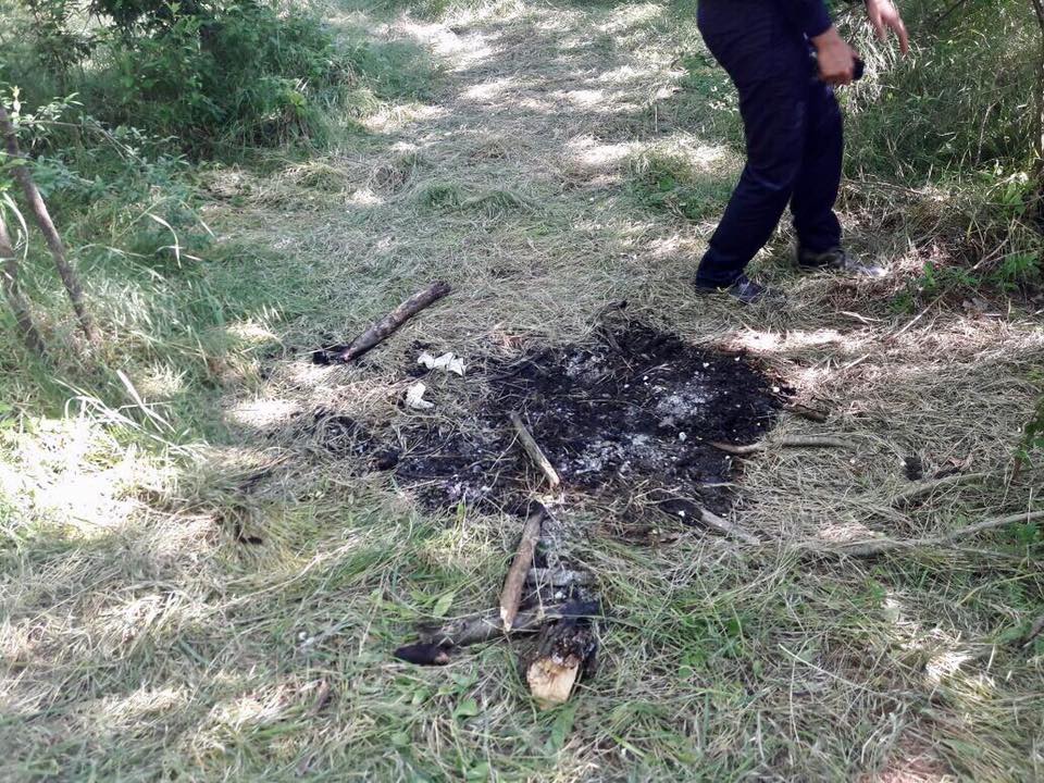 18622385_673340892869700_530662608893732483_n dqxikeidqxiqxxant