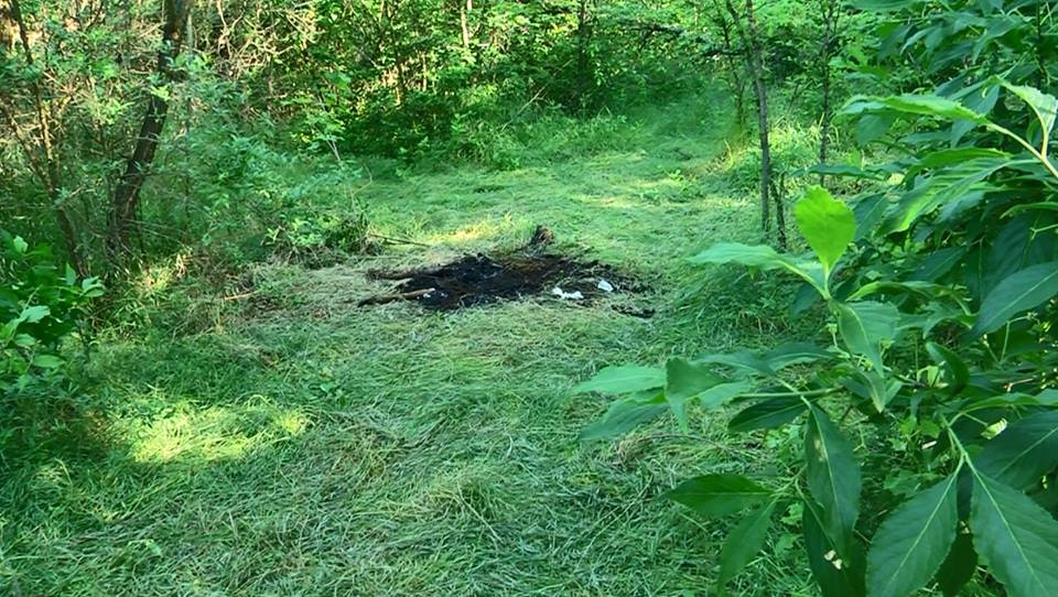 18698136_1477255465658204_4322904277847136281_n dqxikeidqxiqxxant