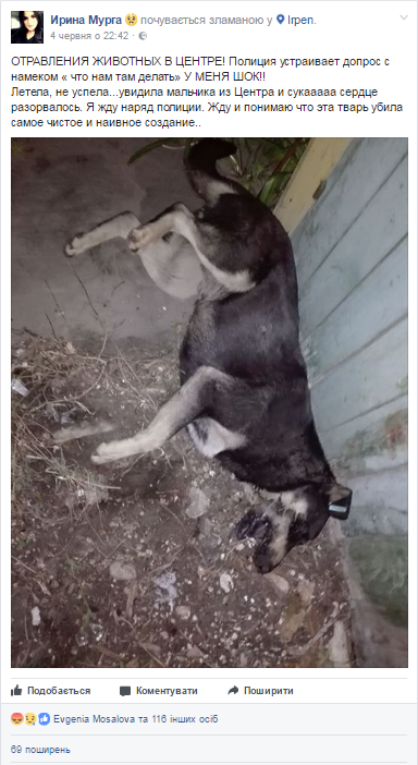 alt dqxikeidqxiqqeant