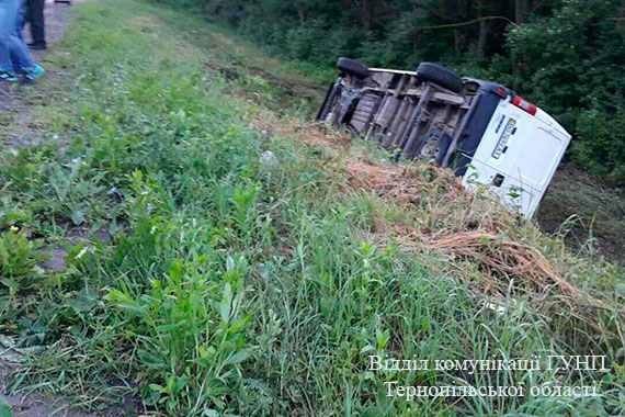 PM822image002 dqxikeidqxiqqeant