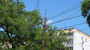 В Николаеве силовая опора рухнула на «маршрутку», пострадало два человека - Copyright https://news.pn