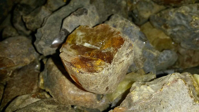 Глибокі чорні надра: видобутком бурштину зацікавилися НАБУ та САП Глибокі чорні надра: видобутком бурштину зацікавилися НАБУ та САП