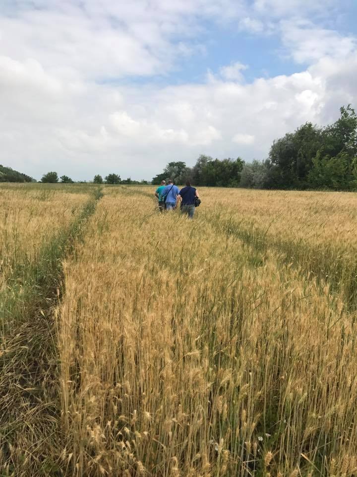 19399878_1569248909813853_6384222993364398735_n dqxikeidqxiqxxant