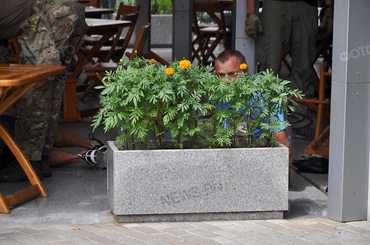 В Николаеве спецназ СБУ задержал «смотрящего», криминального авторитета «Наума» - Copyright https://news.pn