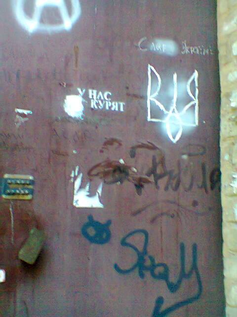 Світлина від Олени Воронянської. dqxikeidqxiqqeant