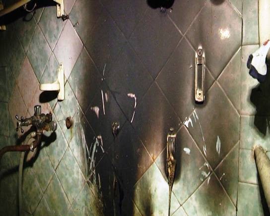 pm512image004 dqxikeidqxiqqeant