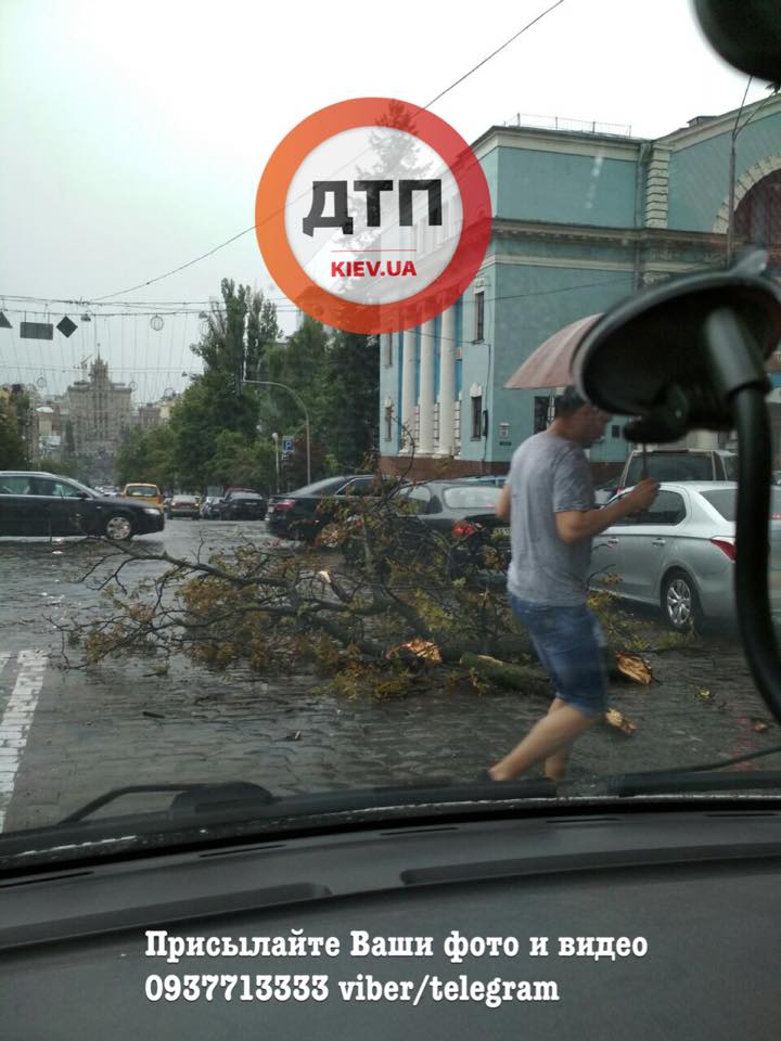   dtp.kiev.ua. dqxikeidqxiqqeant