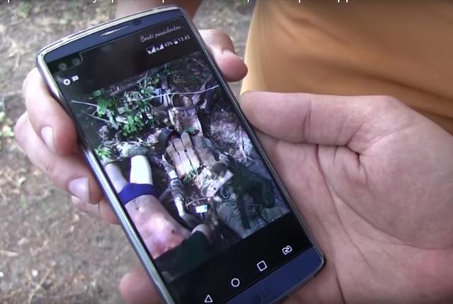       , -        -    01 dqxikeidqxidant