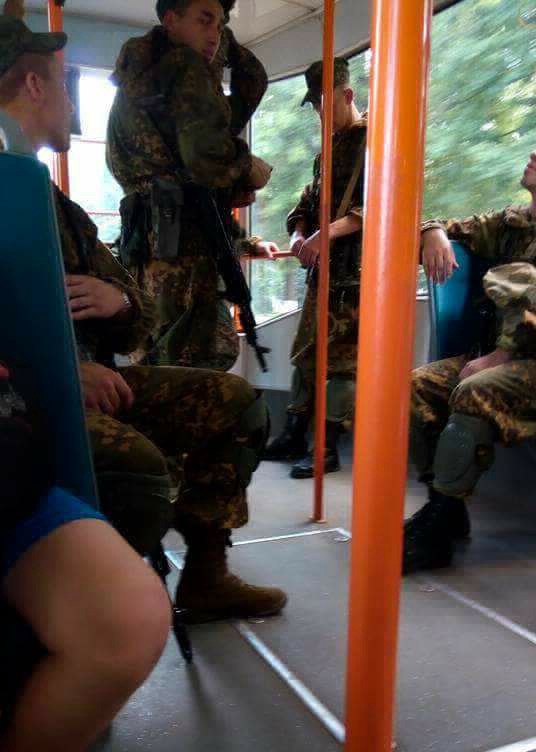 зелчел0.jpg dqxikeidqxiqqeant