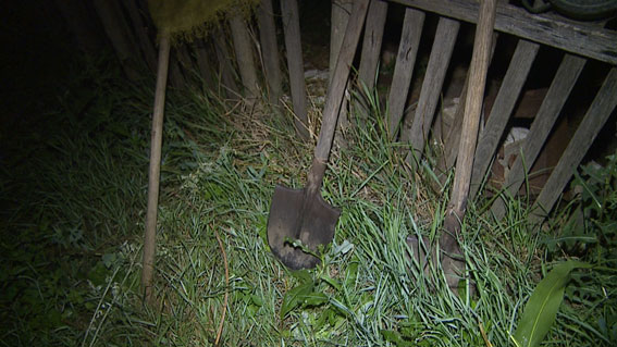 PM437image005 dqxikeidqxiqqeant