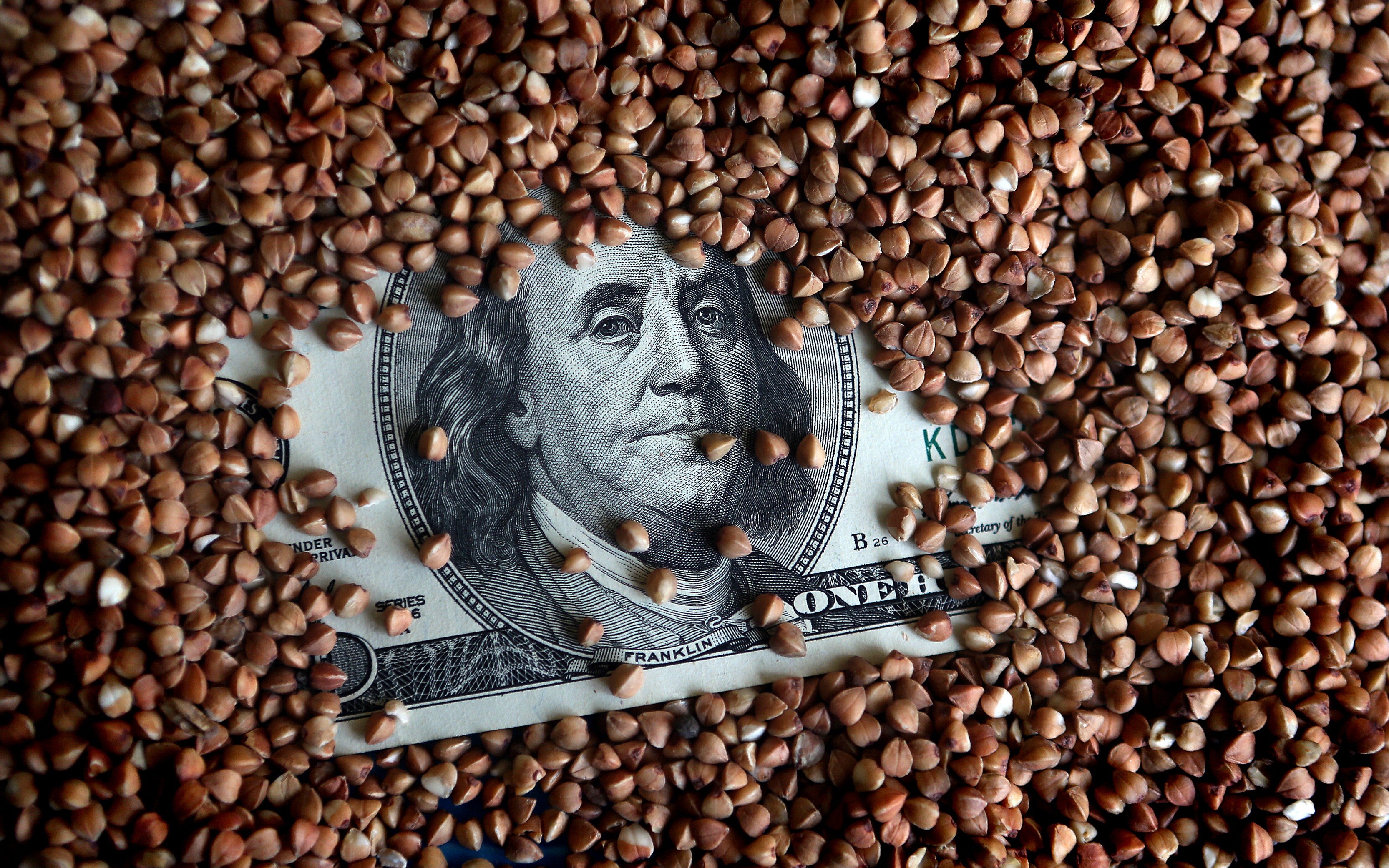 1237574 dqxikeidqxiqxxant