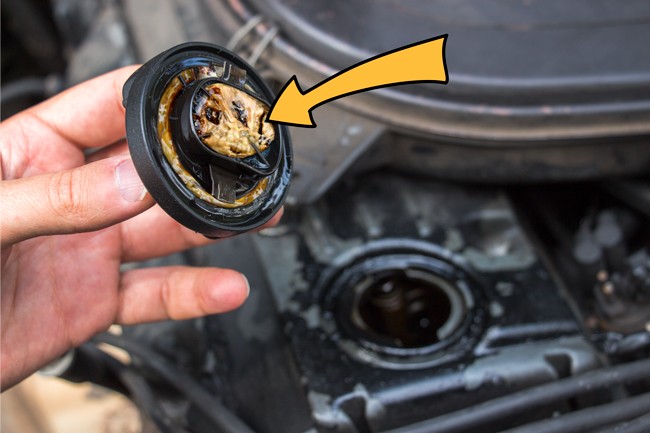 1972-articles-2-650 dqxikeidqxiqqeant