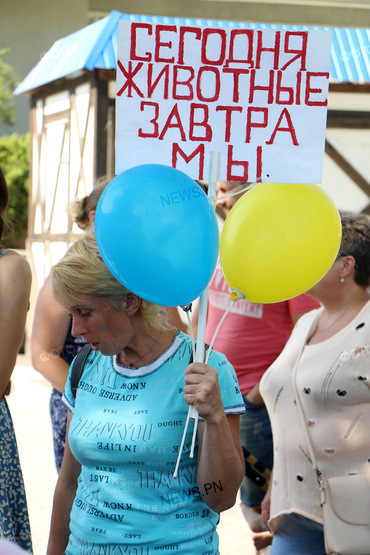 «Сегодня животные, завтра мы»: в Николаеве митинговали против усыпления бездомных собак - Copyright https://news.pn dqxikeidqxitkant