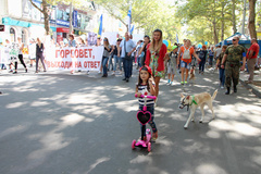 «Сегодня животные, завтра мы»: в Николаеве митинговали против усыпления бездомных собак - Copyright https://news.pn