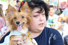 «Сегодня животные, завтра мы»: в Николаеве митинговали против усыпления бездомных собак - Copyright https://news.pn