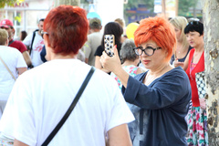 «Сегодня животные, завтра мы»: в Николаеве митинговали против усыпления бездомных собак - Copyright https://news.pn