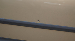 Конфликт на дороге в Николаеве закончился стрельбой – один пострадавший в реанимации, стрелявший скрылся - Copyright https://news.pn