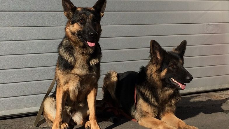 спасатели dqxikeidqxiqqeant