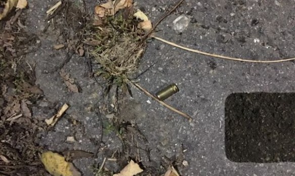 Стрельба в Николаевской области dqxikeidqxiqqeant