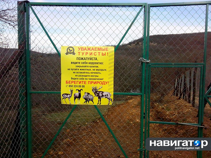 1623702_482262238549487_13411579_n dqxikeidqxiqqeant