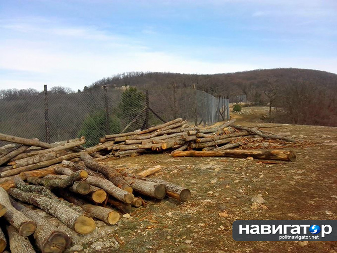 1507993_482264915215886_1410974166_n