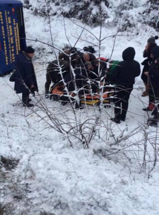 На Львівщині перекинувся автобус з пасажирами, є постраждалі (фото) dqxikeidqxiqqeant