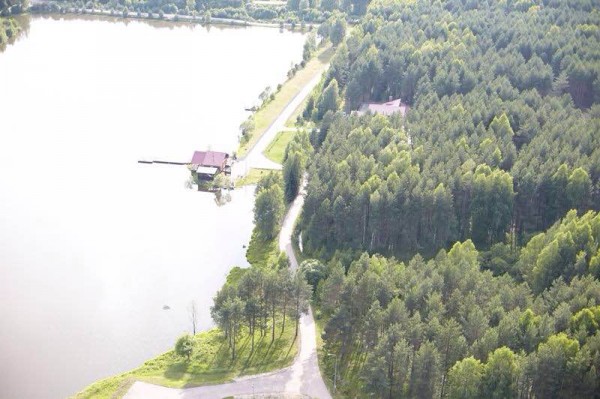 302531_900 302531_900