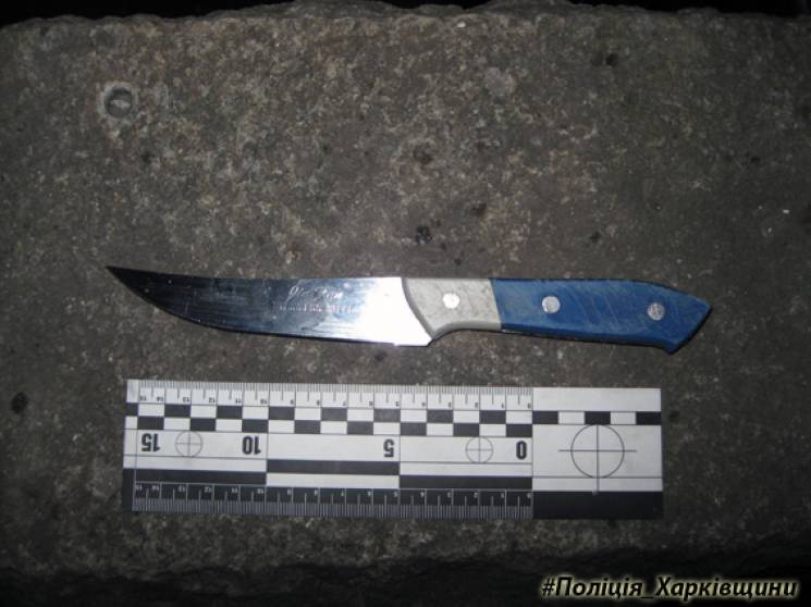       /     dqxikeidqxitkant