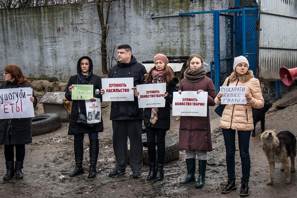 30      ,      dqxikeidqxitkant