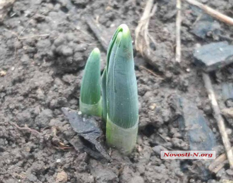 , , , , , , ,  dqxikeidqxitkant