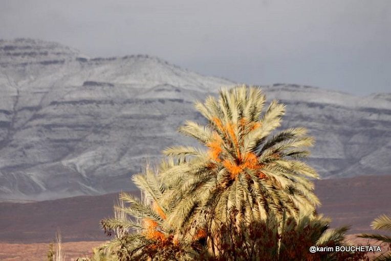 Снег dqxikeidqxiqqeant