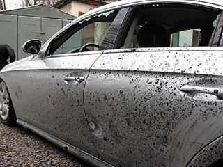 Мерседес Дрегер dqxikeidqxitkant