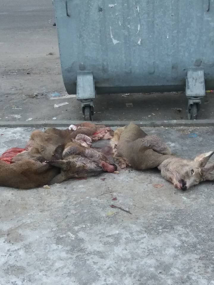 , , _1 dqxikeidqxitkant