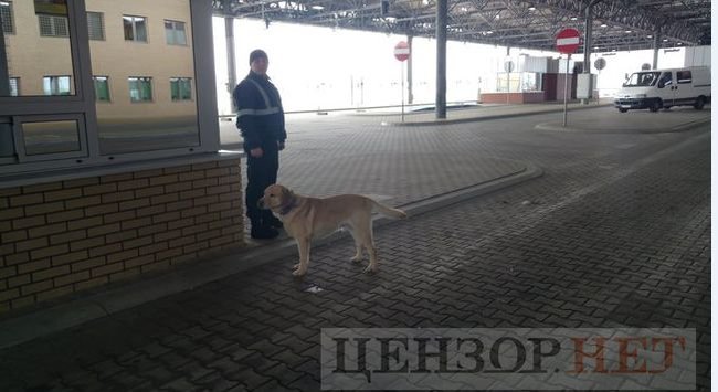 Біометричний контроль на українсько-польському кордоні: як це працює 01 Біометричний контроль на українсько-польському кордоні: як це працює 01 dqxikeidqxiqqeant