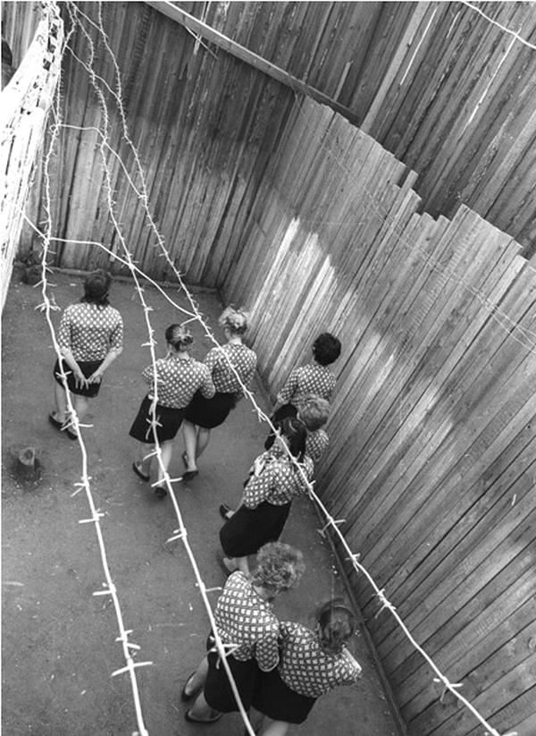 зона-гл dqxikeidqxitkant