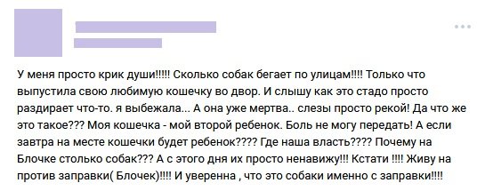 161_01 dqxikeidqxiqxxant