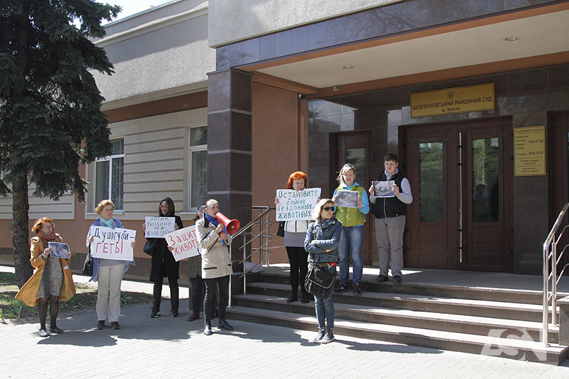 догÑ
анÑеÑ, ÑвÑÑогоÑ, коÑÑенко, ÑÑд, зоозаÑиÑники, живоÑнÑе, Ñобаки, закон, акÑиÑ, Ð¶Ð¸Ð²Ð¾Ð´ÐµÑ dqxikeidqxiqqeant