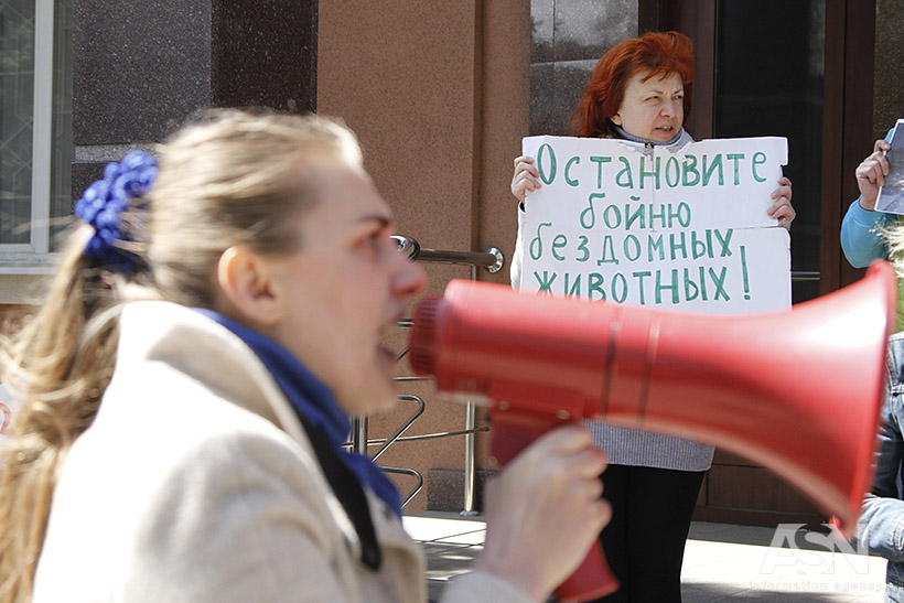 догÑ
анÑеÑ, ÑвÑÑогоÑ, коÑÑенко, ÑÑд, зоозаÑиÑники, живоÑнÑе, Ñобаки, закон, акÑиÑ, живодеÑ