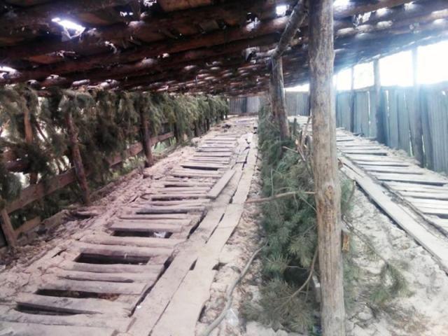 ÑÑалеÑ, полигон, военнÑе, аÑо, война, Ñкандал Ñ ÑÑалеÑом, ÑаиÑÐ¸Ñ Ð³Ð°Ð¹Ð´Ð°, ÑÑÐ°Ð»ÐµÑ Ð¿Ð¸Ð°Ð½Ð¸Ð½Ð¾ dqxikeidqxitkant