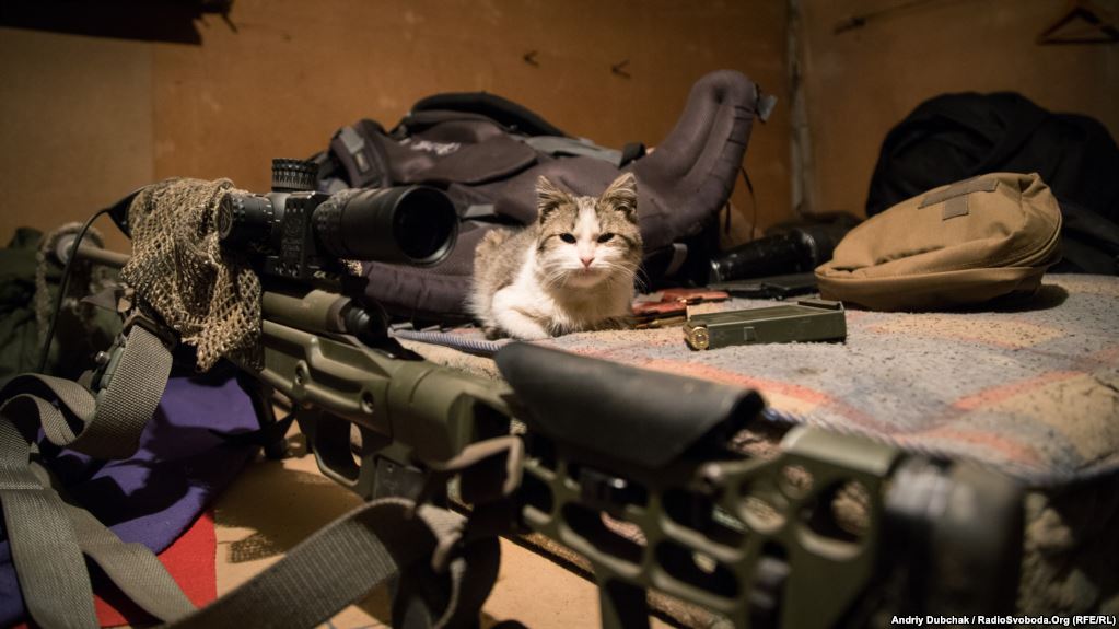    «.308»       ’ «ʳ»