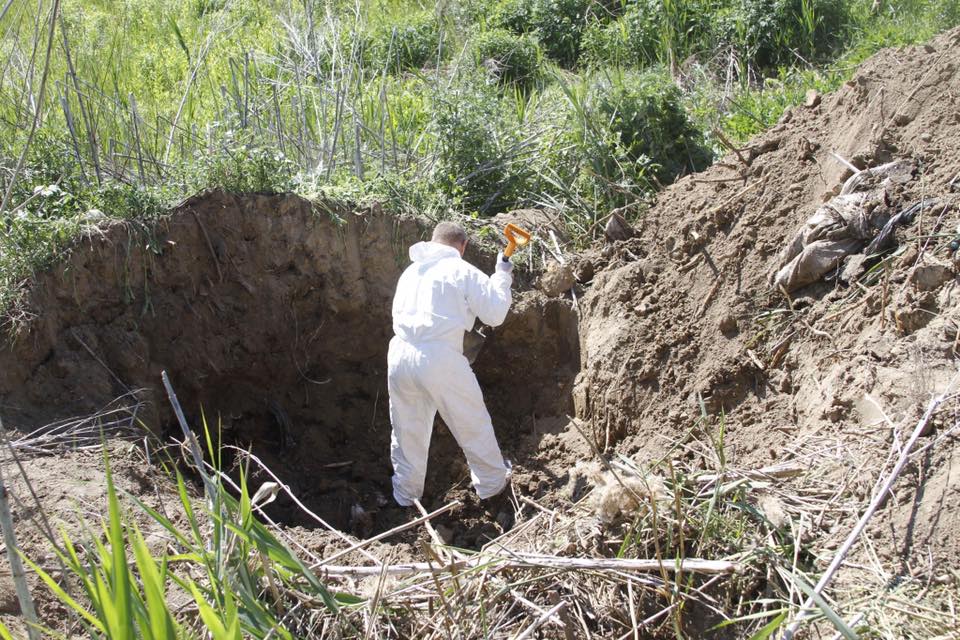 32530712_2080503075547525_4858062457970622464_n dqxikeidqxitkant