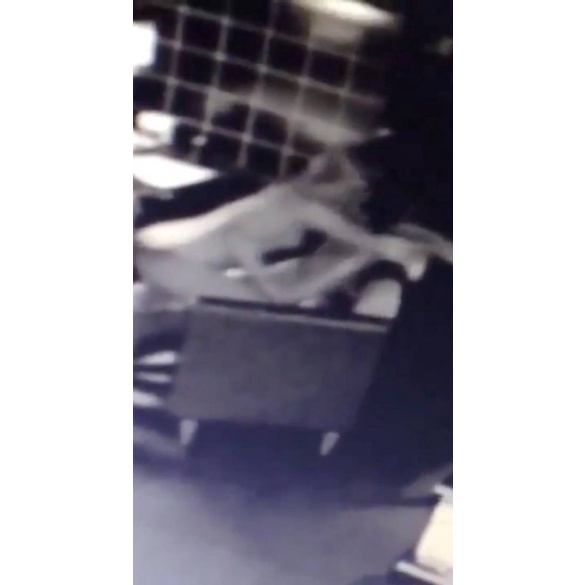 2-        ’ dqxikeidqxitkant