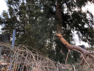 Посмотреть изображение в Твиттере Посмотреть изображение в Твиттере