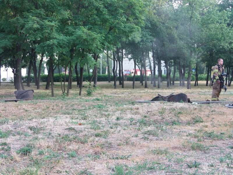 Ðа ÑлиÑе ÐÑаÑноÑкаÑкаÑ, 42 пÑоизоÑел Ð¿Ð¾Ð¶Ð°Ñ Ð² ÑеплоÑеÑÑÑ
dqxikeidqxitkant