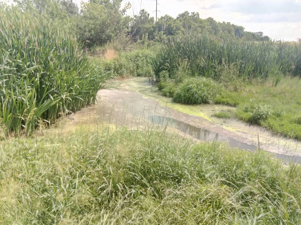 ÐоÑÑомелÑ, ÑкологиÑ, агÑоÑ
олдинг ÐоÑÑомелÑ, ÑÑоÑнÑе Ð²Ð¾Ð´Ñ Ð°Ð³ÑоÑ
олдинга в ÐоÑÑомеле, ÑкологиÑеÑÐºÐ°Ñ ÐºÐ°ÑаÑÑÑоÑа в ÐоÑÑомеле, ÑеÑка Ð?ÑÐ¿ÐµÐ½Ñ ÑÑоки dqxikeidqxitkant