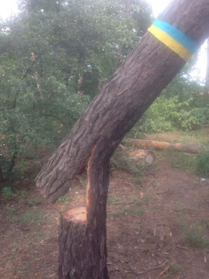 ÐиевÐлаÑÑÑ - ÐовоÑÑи Ðиева и облаÑÑи dqxikeidqxiqqeant