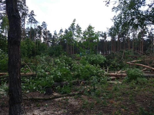 ÐиевÐлаÑÑÑ - ÐовоÑÑи Ðиева и облаÑÑи