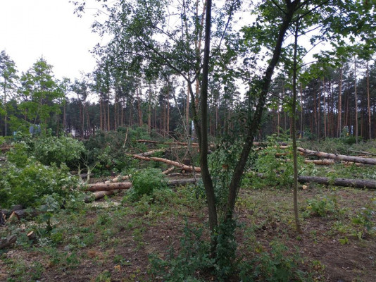 ÐиевÐлаÑÑÑ - ÐовоÑÑи Ðиева и облаÑÑи